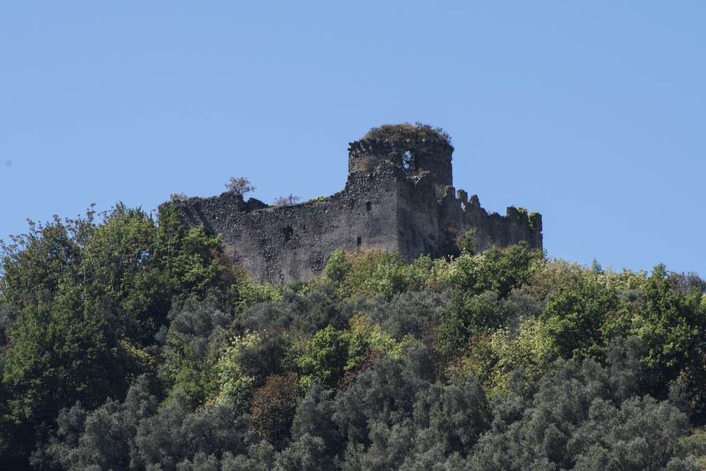 Agriturismo La Vecchia Quercia San Cipriano Picentino Eksteriør bilde