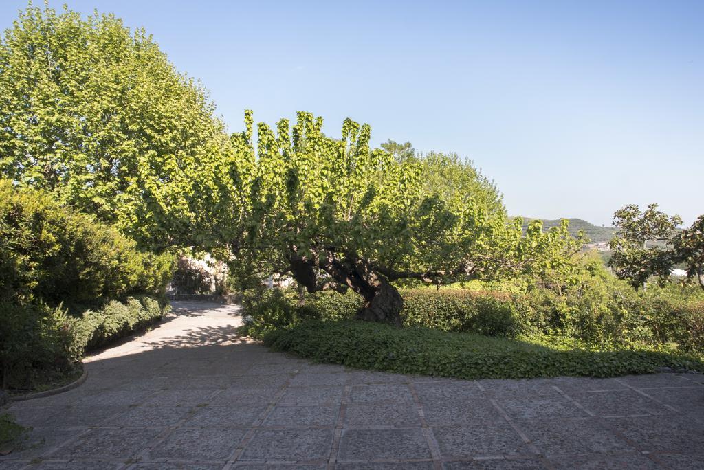 Agriturismo La Vecchia Quercia San Cipriano Picentino Eksteriør bilde