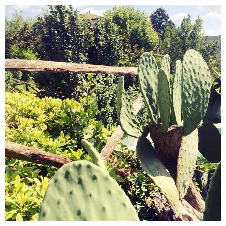 Agriturismo La Vecchia Quercia San Cipriano Picentino Eksteriør bilde