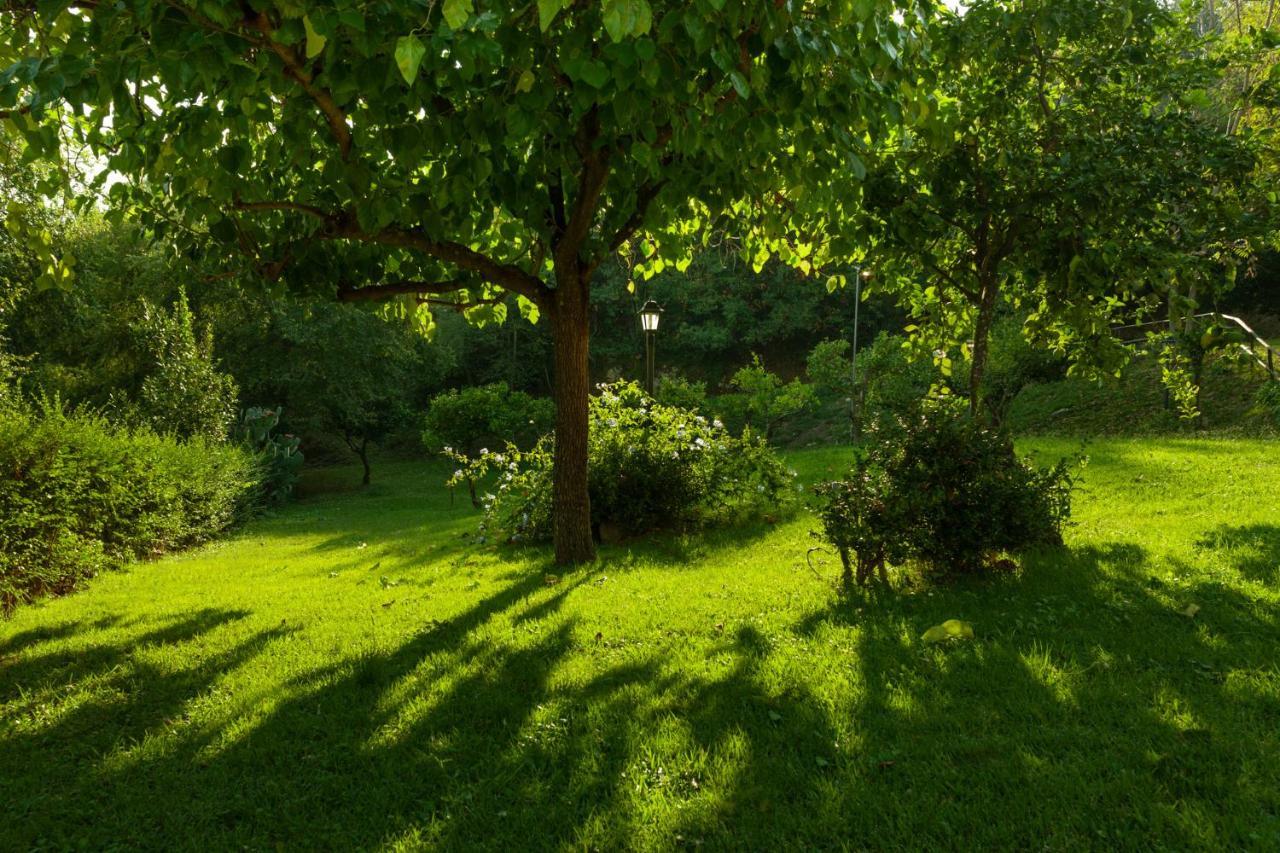 Agriturismo La Vecchia Quercia San Cipriano Picentino Eksteriør bilde